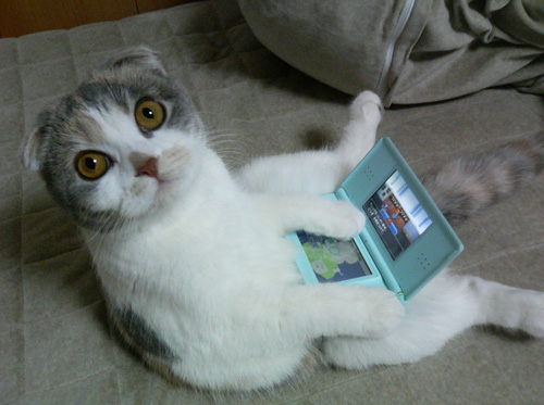 I is coding on your DS